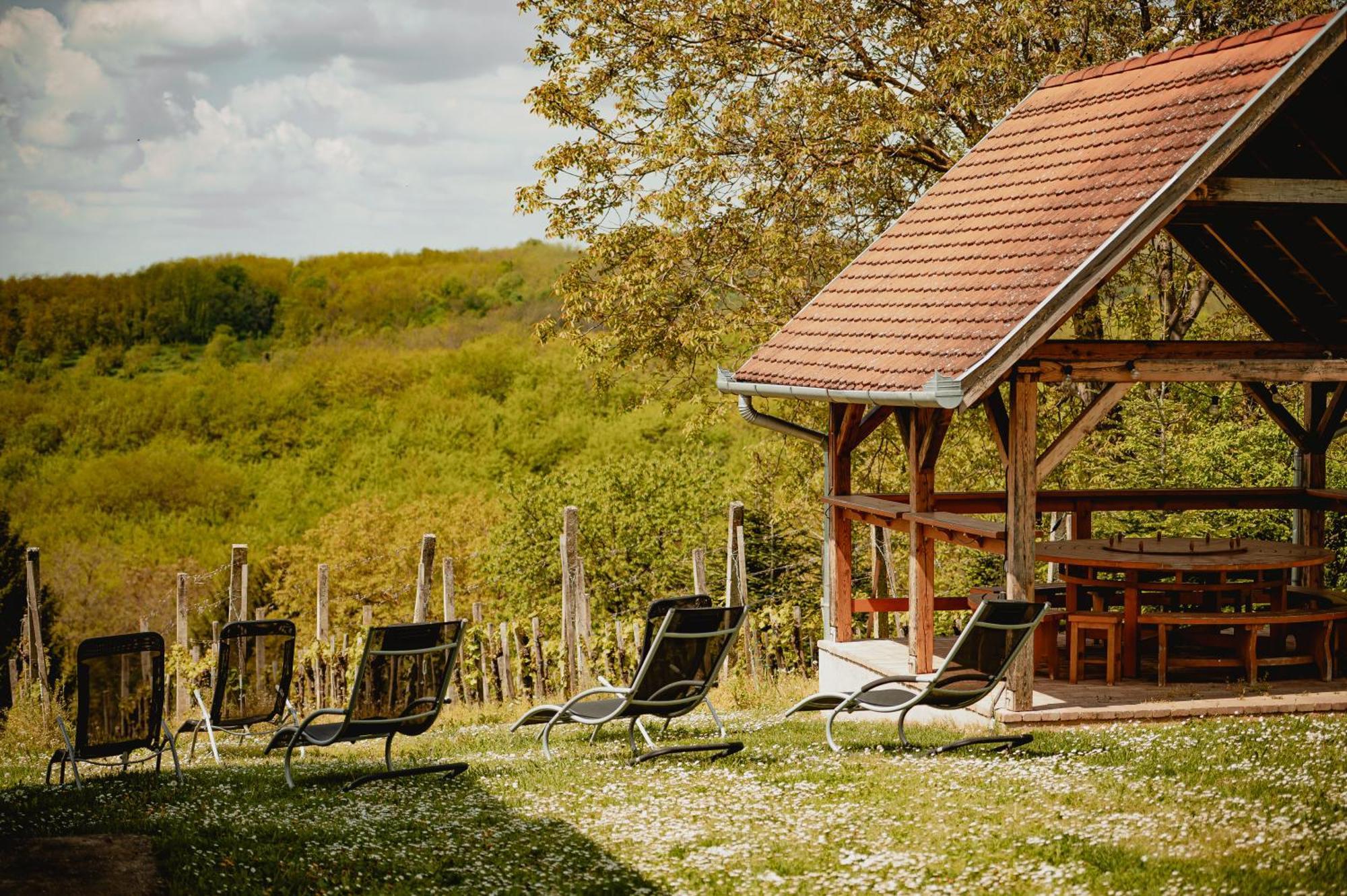 Foerhenc Wine House & I-ii-iii Case de vacanță